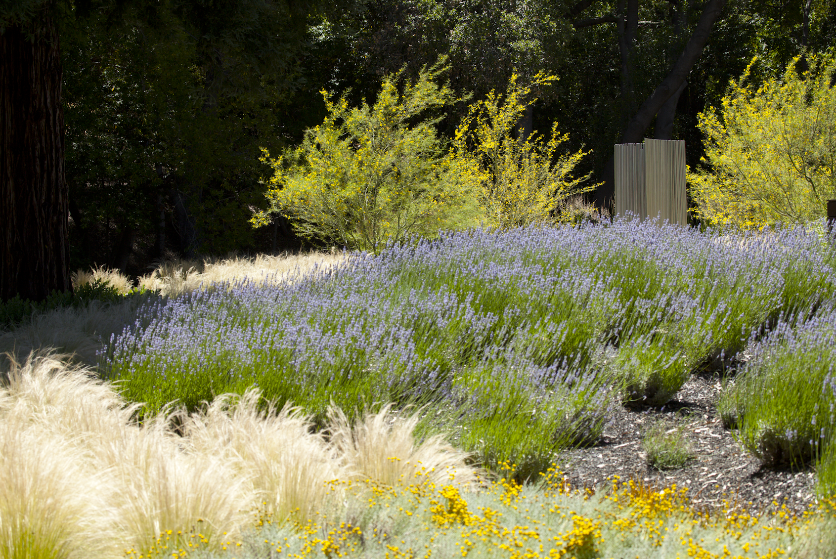 Creek House Landscape 