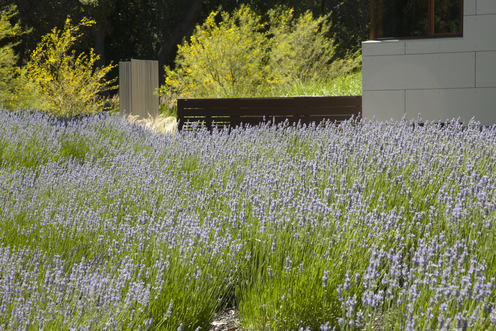 Screen Shot 2015-03-28 at 3.15.25 PM.png