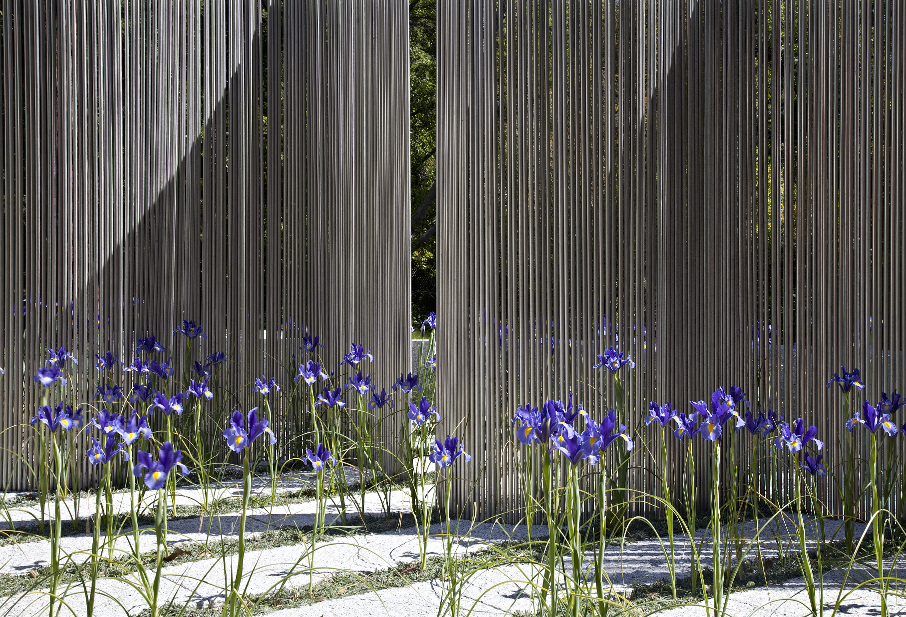 Screen Shot 2015-03-28 at 2.48.35 PM.png