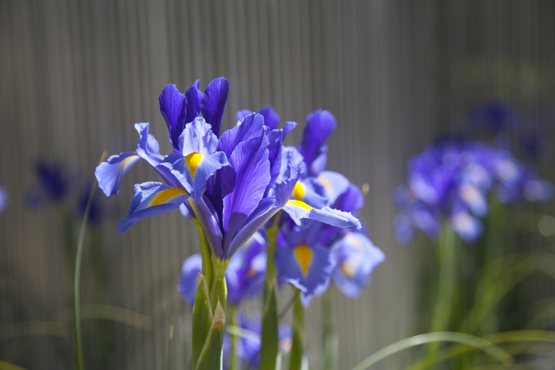 Screen Shot 2015-03-28 at 2.49.00 PM.png