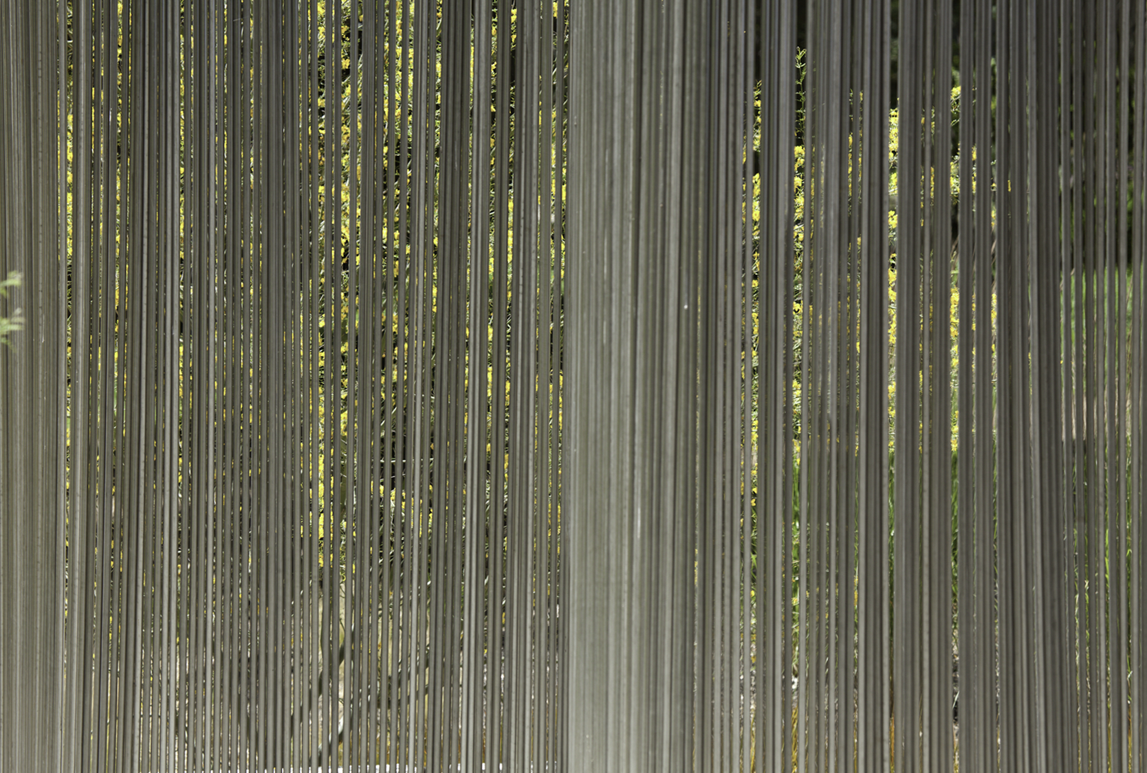 Screen Shot 2015-03-28 at 3.18.29 PM.png