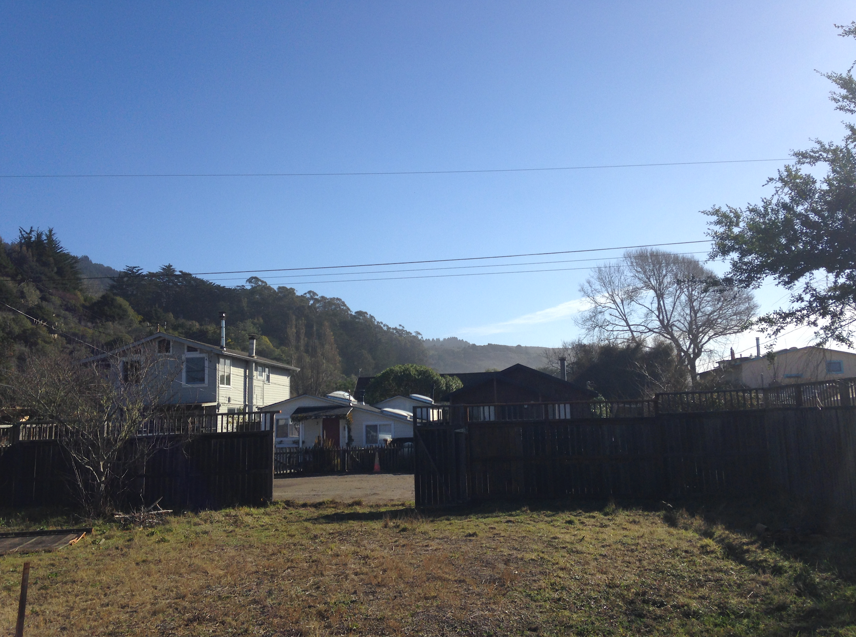  Site view looking east - the hillside view of Mt Tam is one of the primary views from the site 