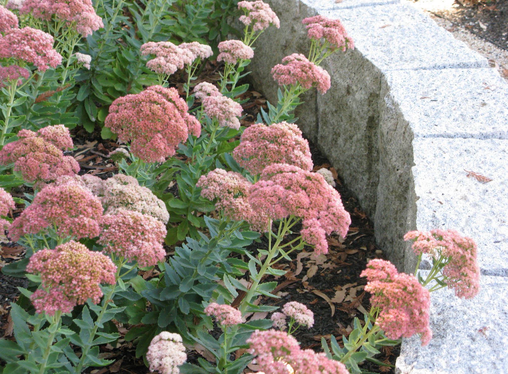 Screen Shot 2015-03-28 at 2.32.29 PM.jpg