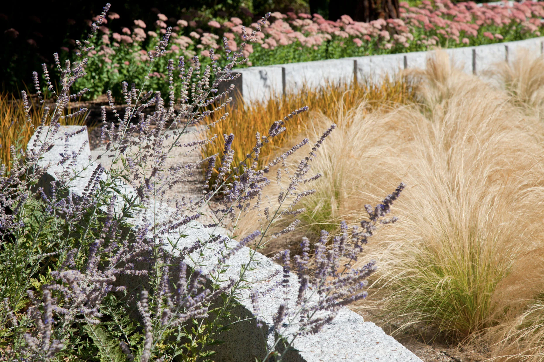 Screen Shot 2015-03-28 at 2.34.42 PM.jpg