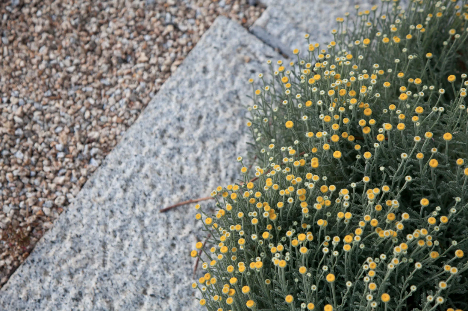 Screen Shot 2015-03-28 at 2.35.48 PM.jpg