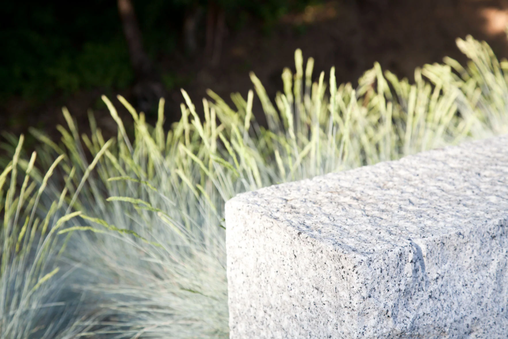 Screen Shot 2015-03-28 at 2.35.57 PM.jpg