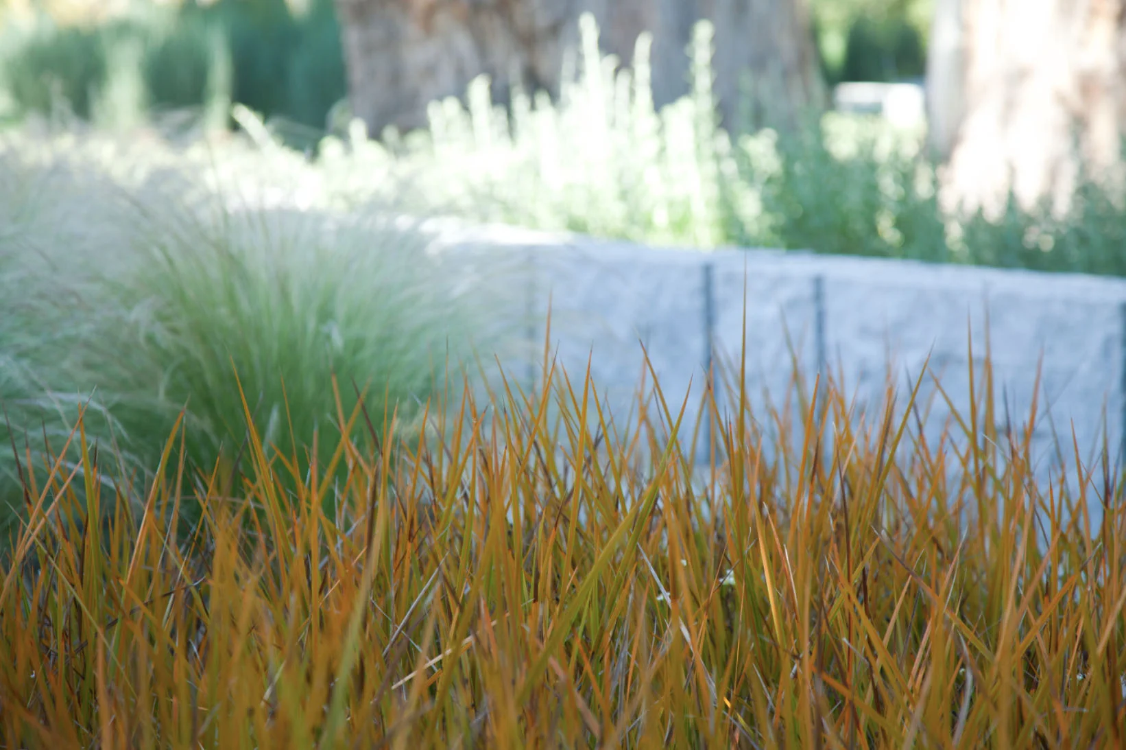 Screen Shot 2015-03-28 at 3.12.15 PM.jpg