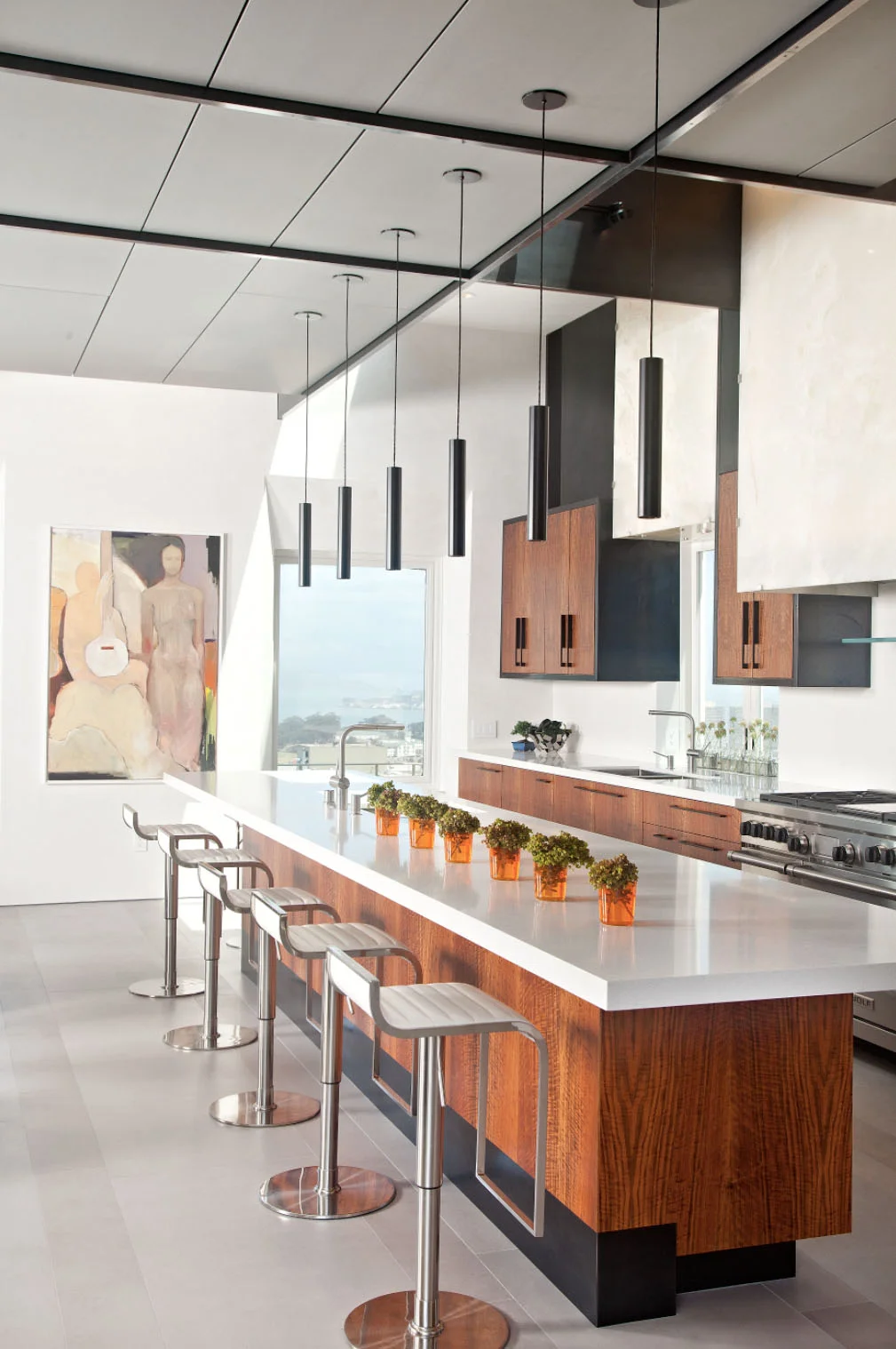 Kitchen - Pacific Heights Remodel, San Francisco, Modern Design 
