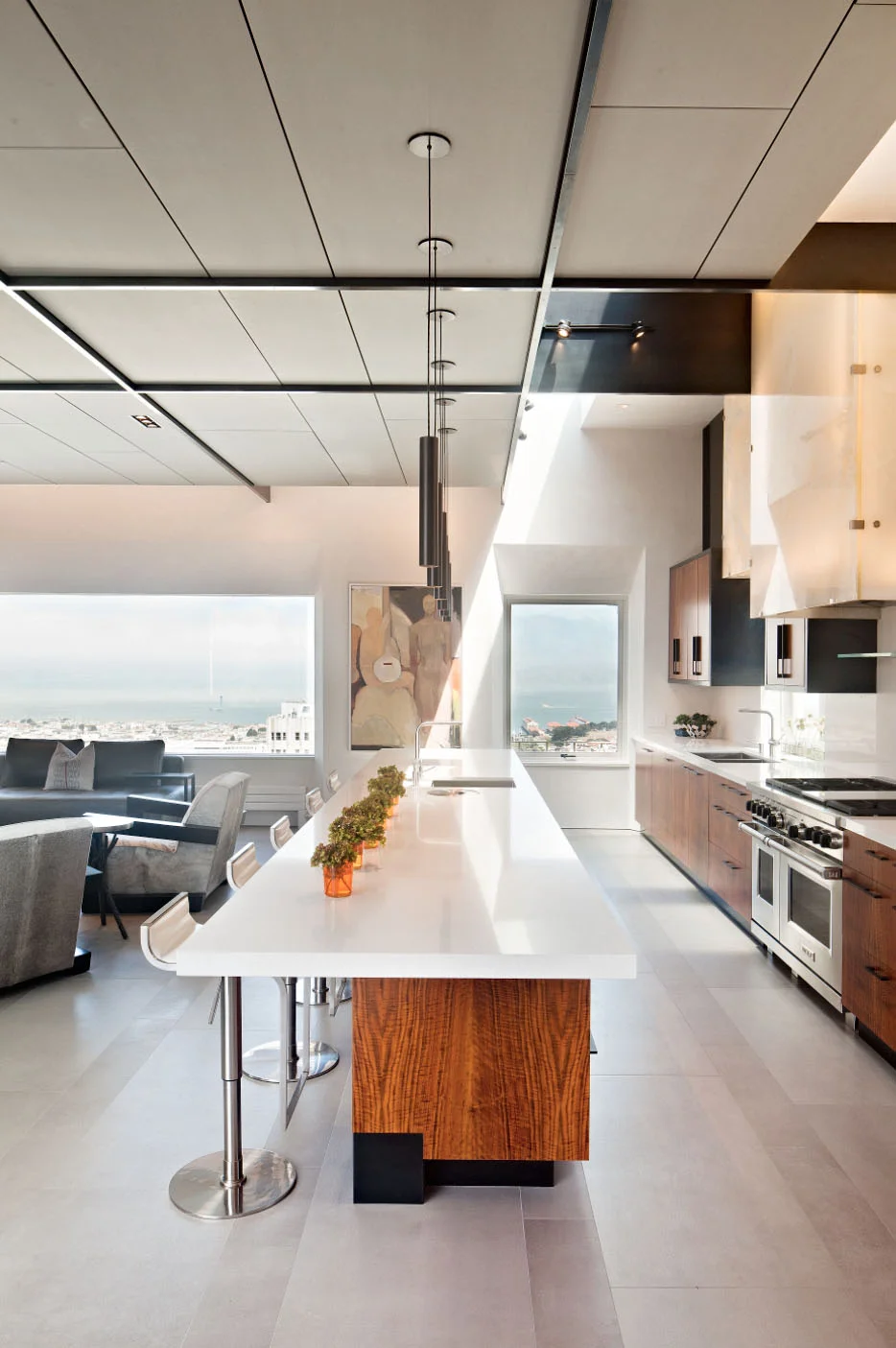 Kitchen - Pacific Heights Remodel, San Francisco, Modern Design 