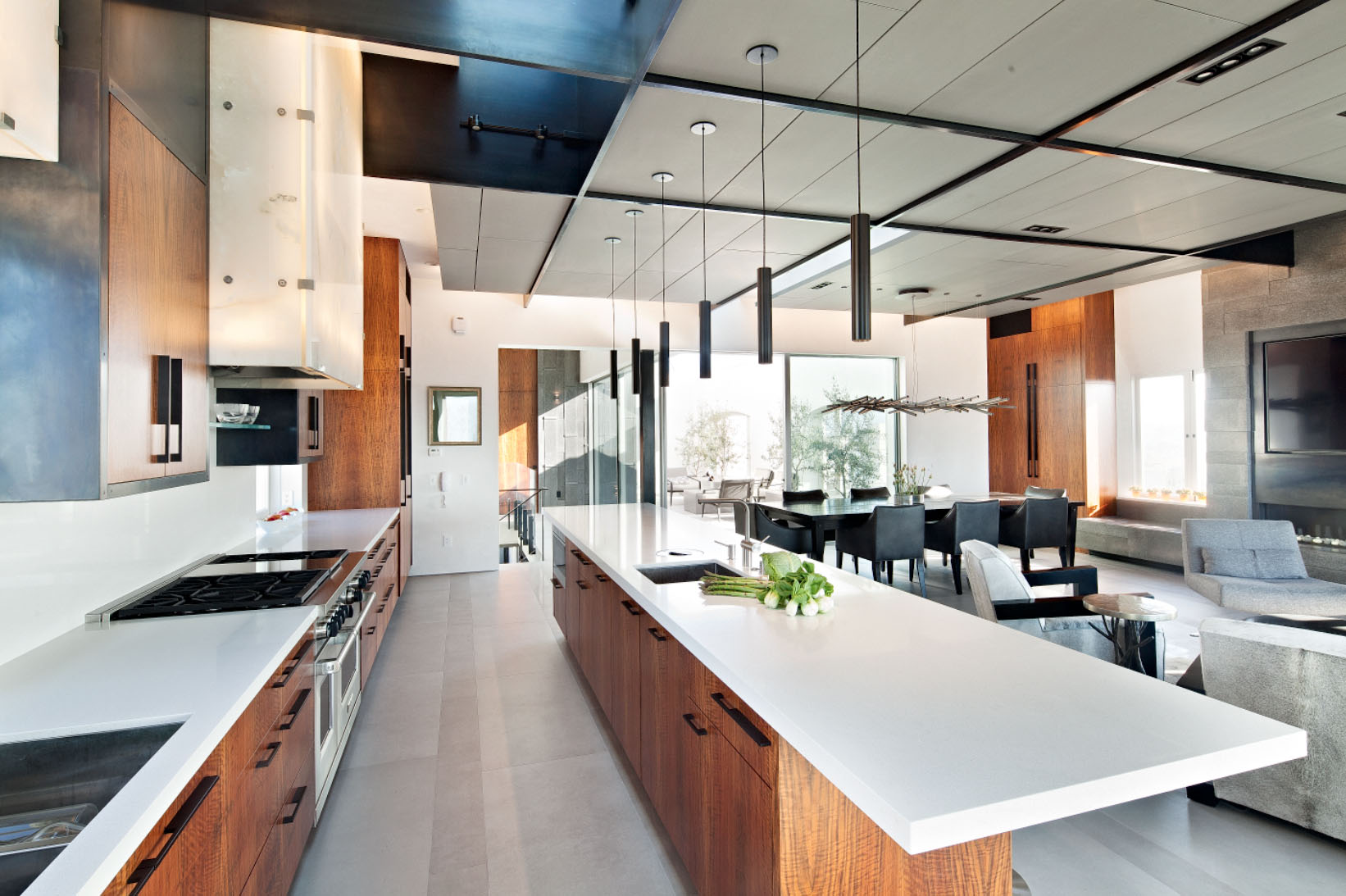Great room - Pacific Heights Remodel, San Francisco, Modern Design 