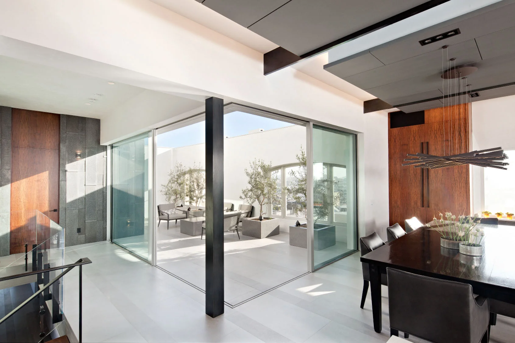 Patio and sliding doors - Pacific Heights Remodel, San Francisco, Modern Design 