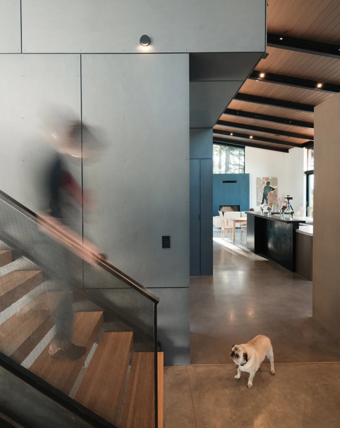 Screen Shot 2022-12-01 at 2.48.13 PM.jpg