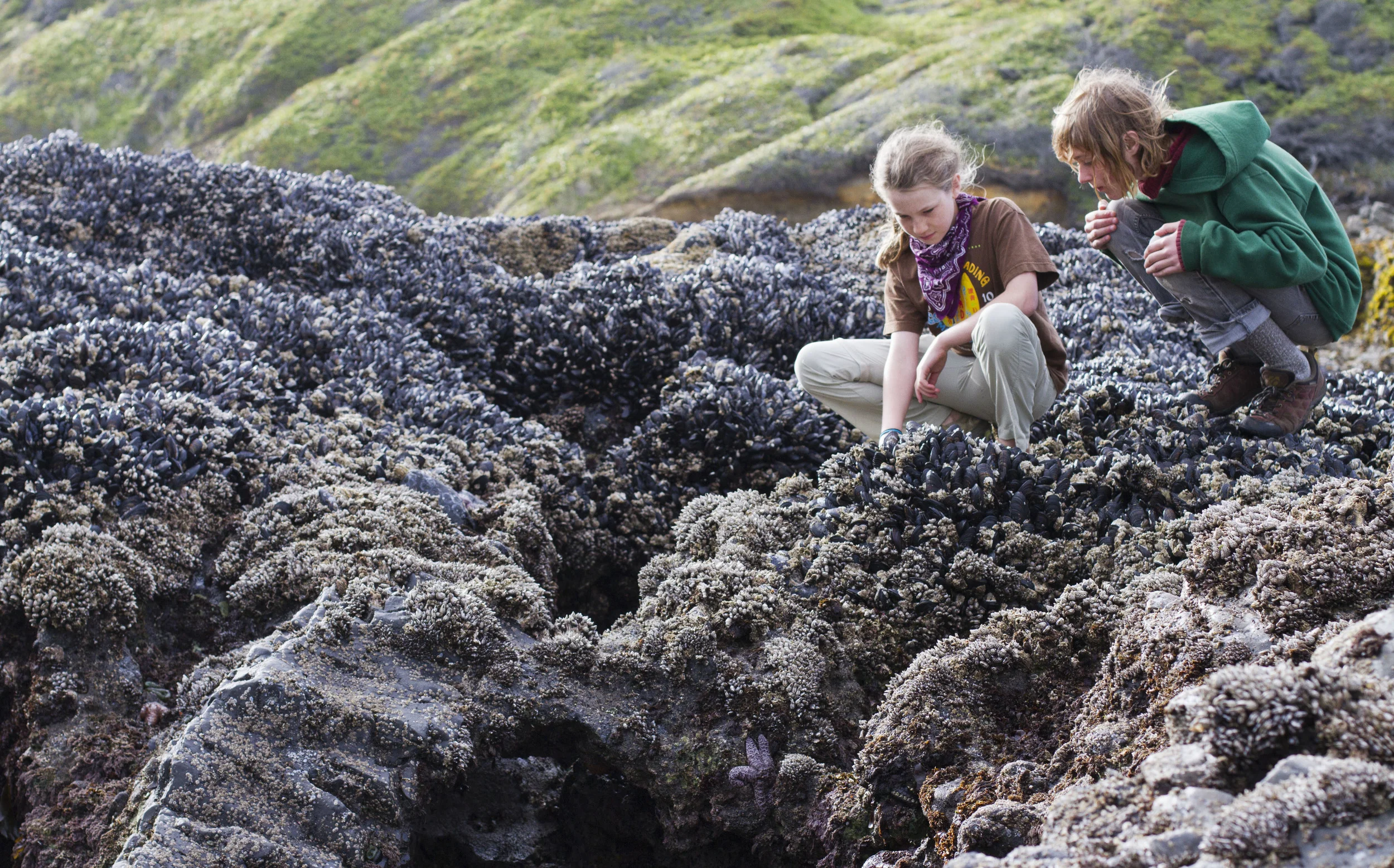   TELLING THE STORIES   of our cities, towns, and regions... 