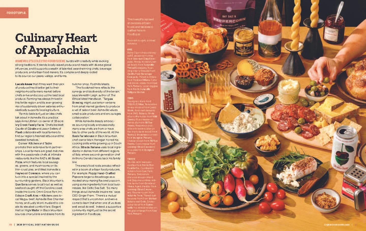 AshevilleVG2026 37.jpg