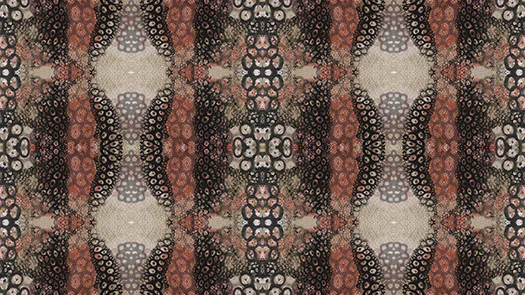 Marilee Salvator - wallpaper