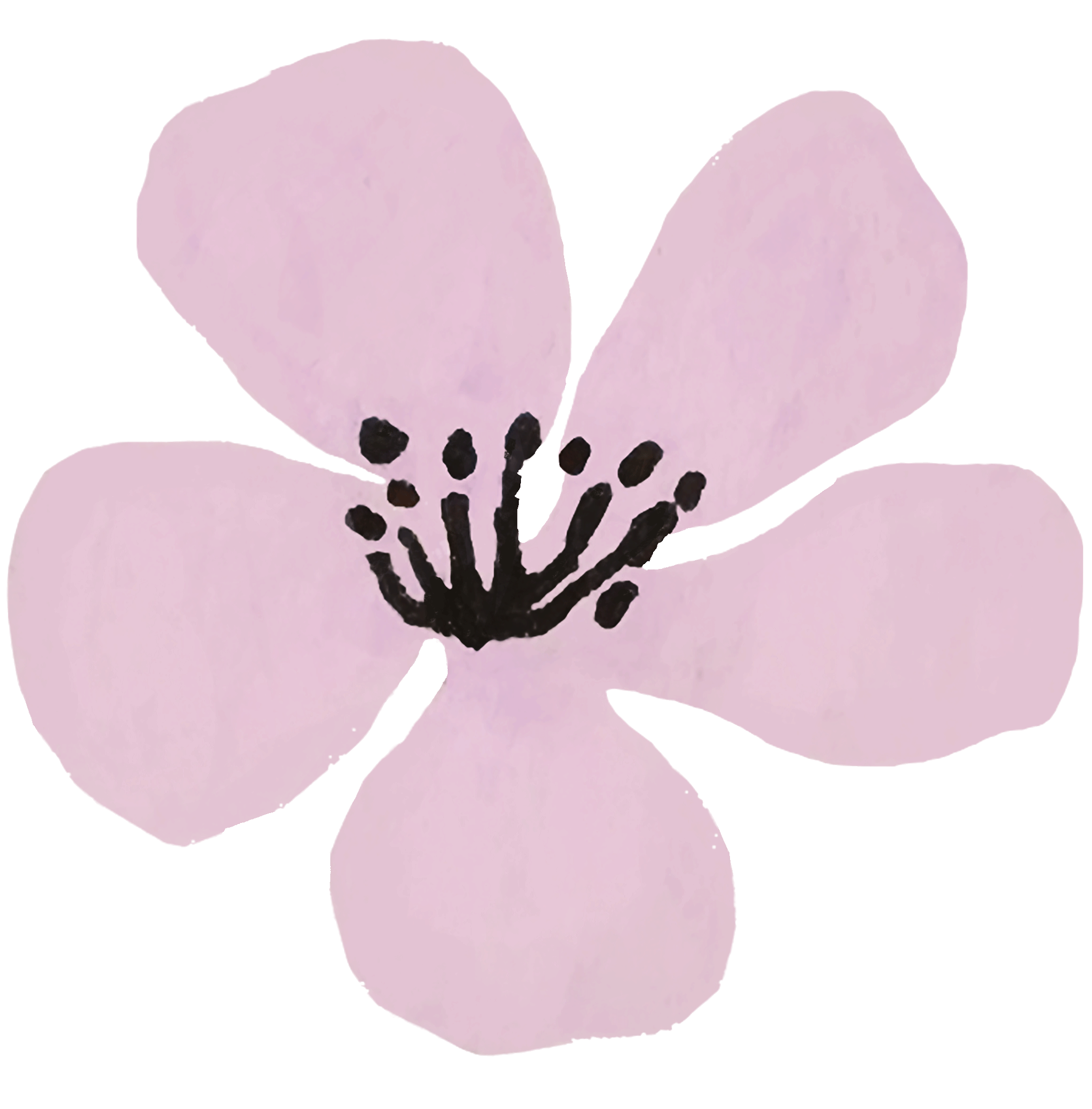 victoria-johnson-lilac-flower-head.png