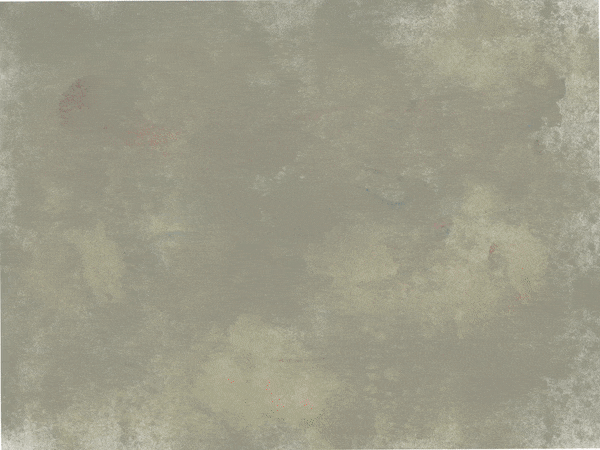 ezgif.com-optimize.gif