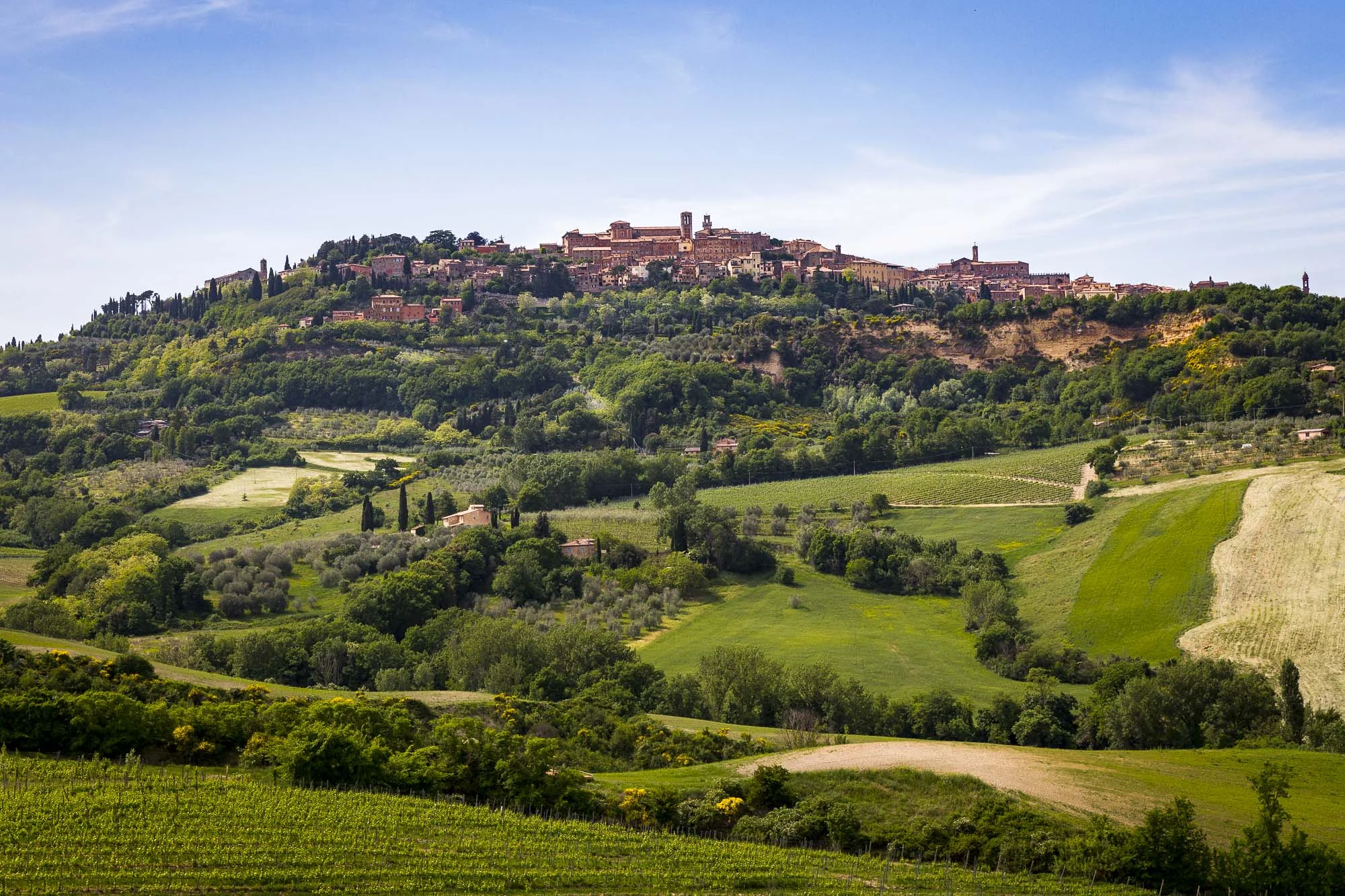Tuscan Green-1IMG_0106.jpg
