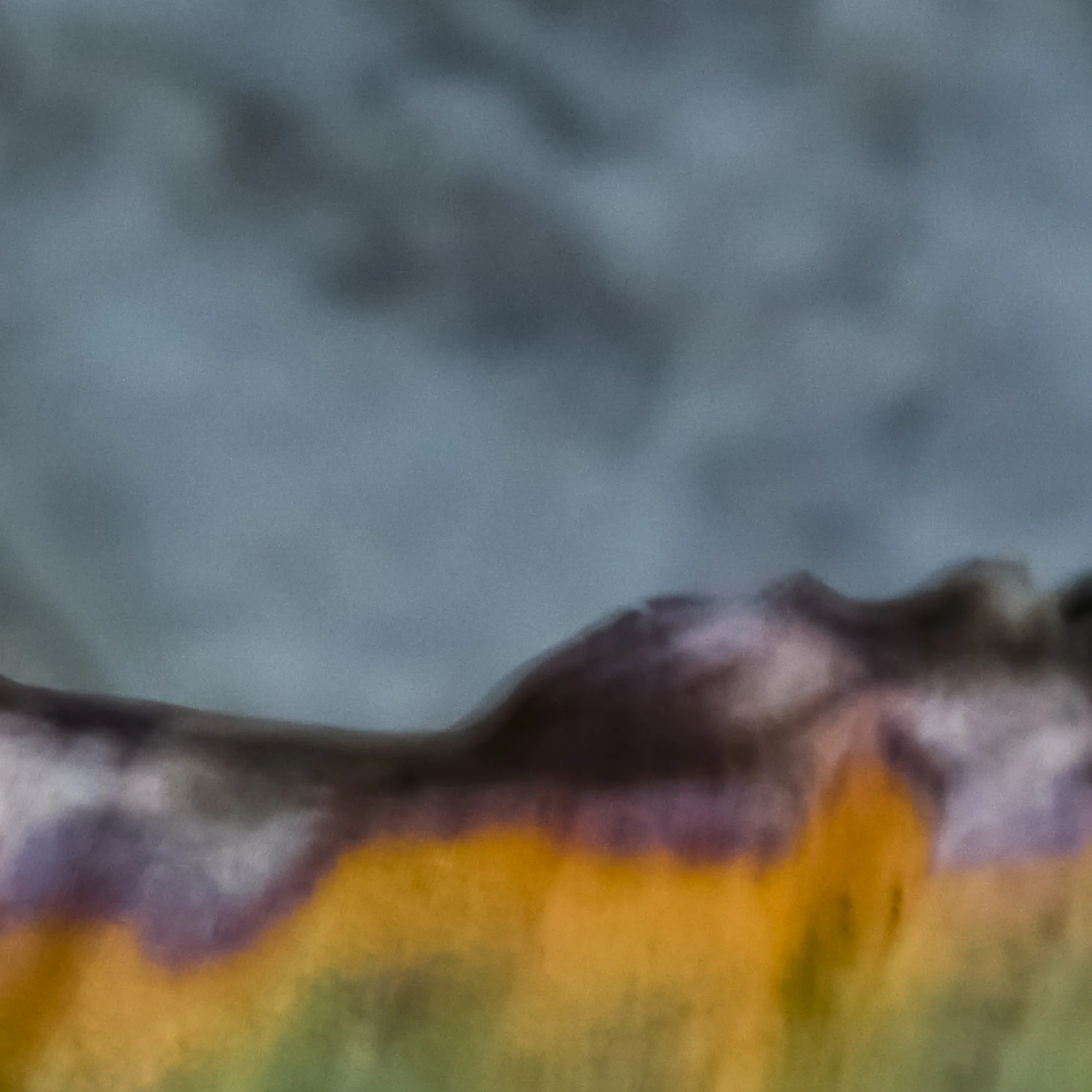 Chanticleer-Abstracts-169G9A0701.jpg