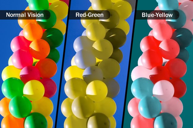 Midtown - Different Types of Color Blindness and Distinguishing Them