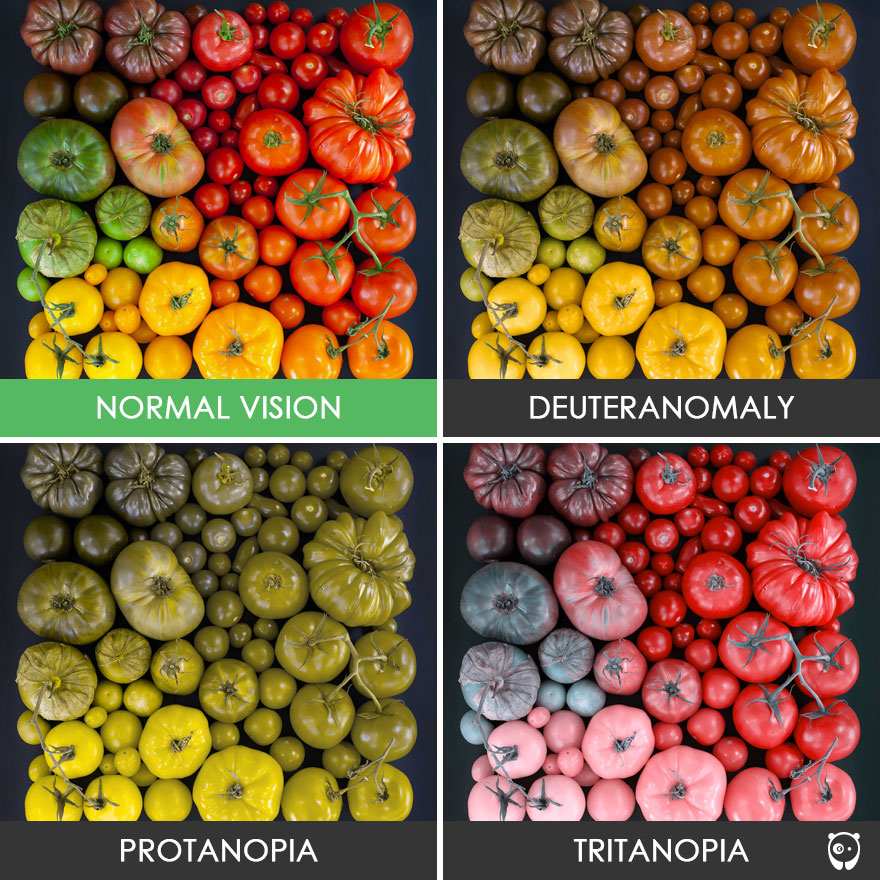 Midtown - Different Types of Color Blindness and Distinguishing Them