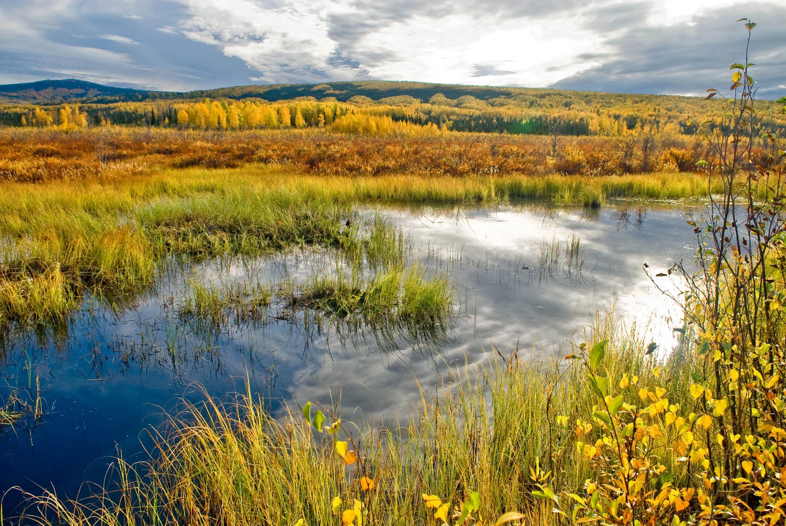 epa_wetlands.jpg