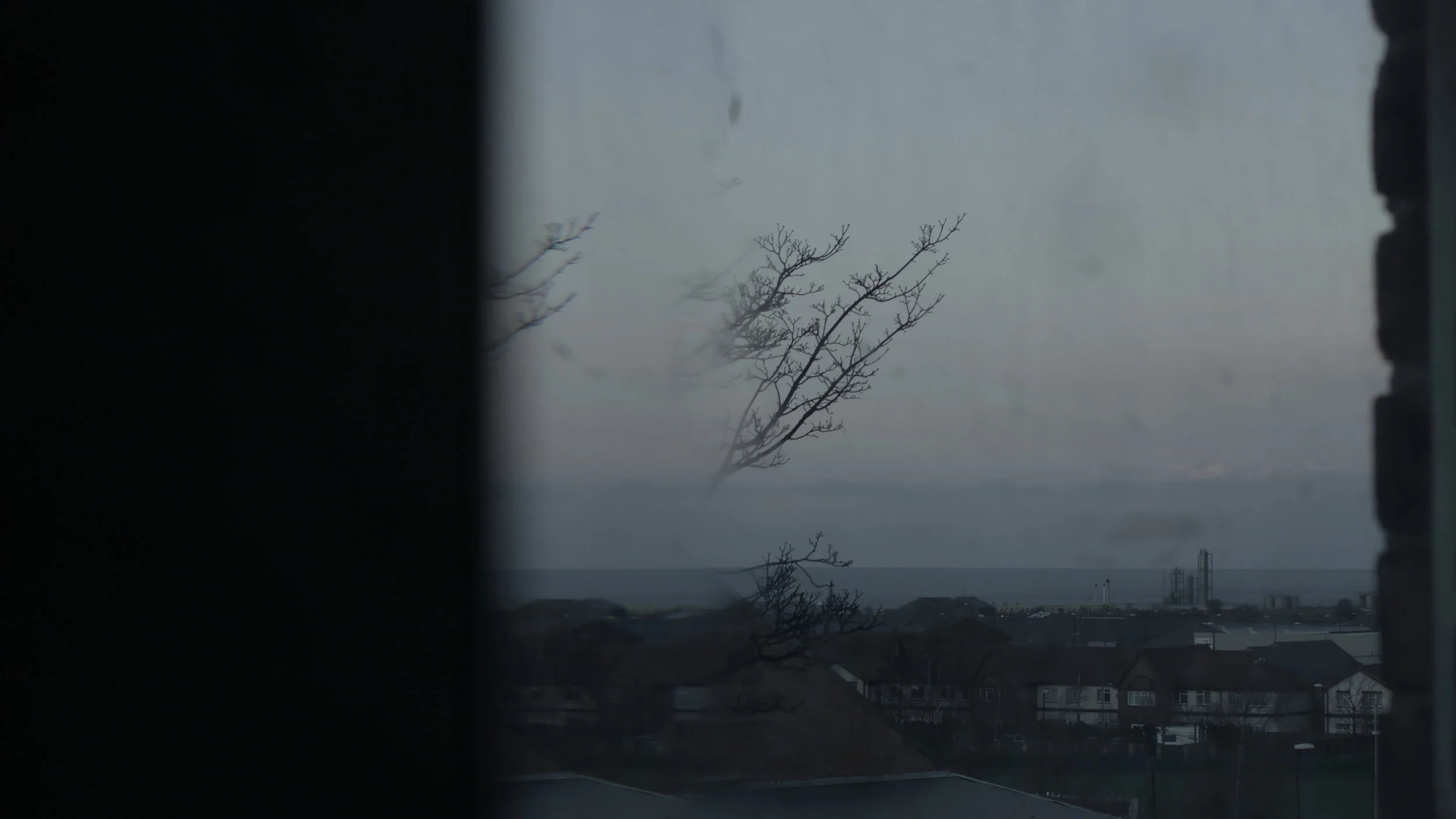 CAMREX STILL 3.jpg