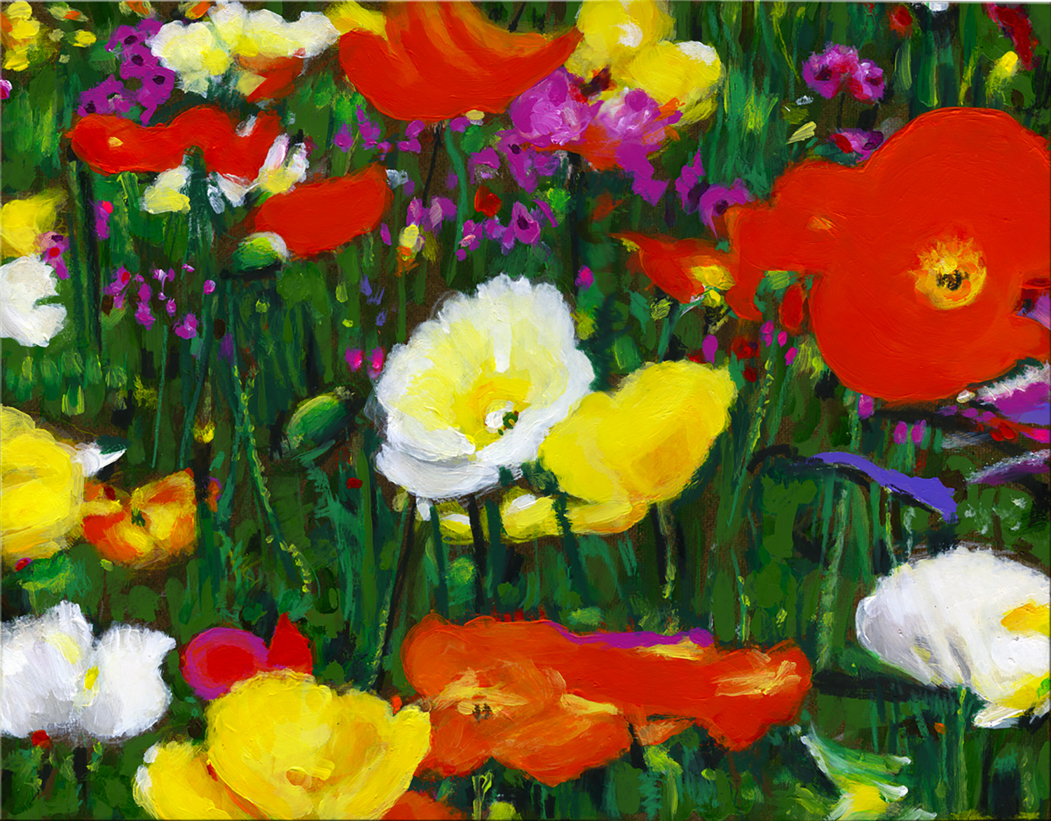 Poppies