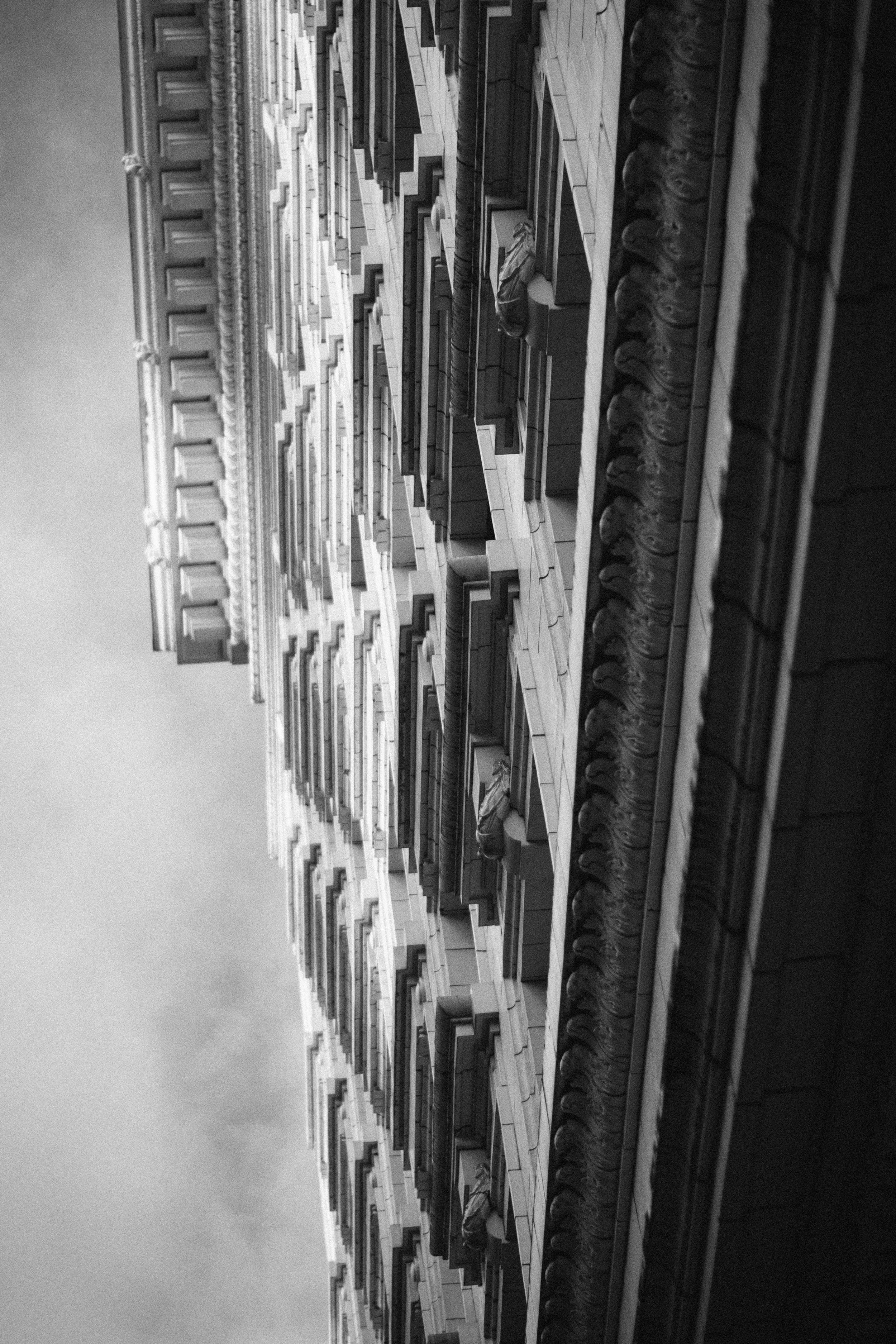 Shadow and light interplay midday in May