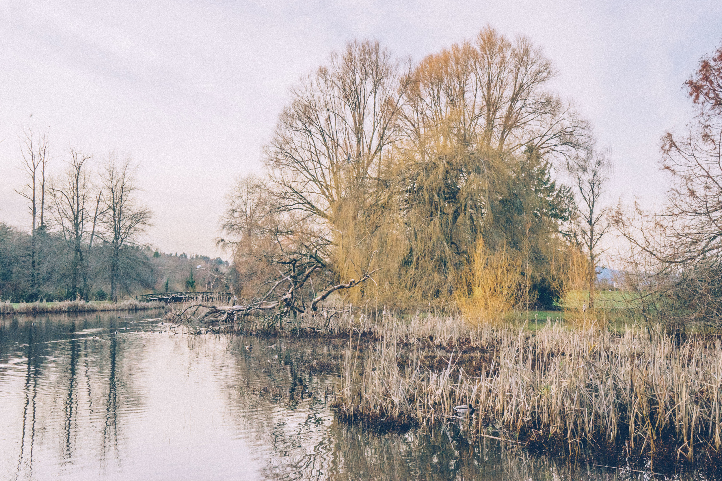 You brought me here one morning. The smell of freshly-cut grass permeated the air. The wind blew softly making the water ripple ever so slightly. The sun shined on your skin beautifully as I put my hand around your waist. 