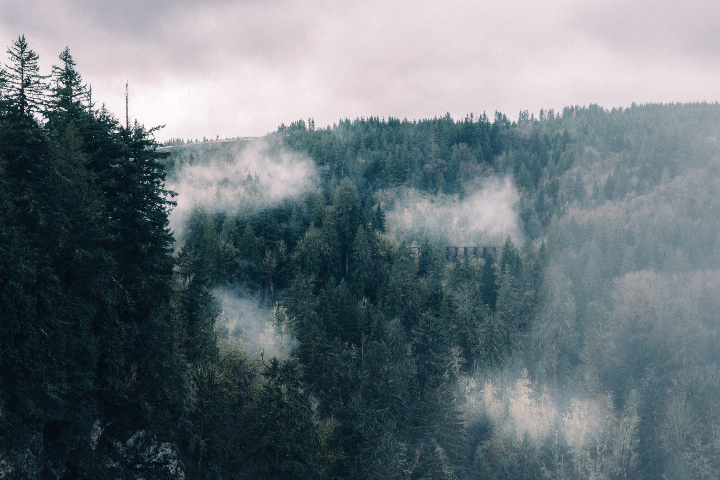 The scent of smoked salmon lingers in the air. 