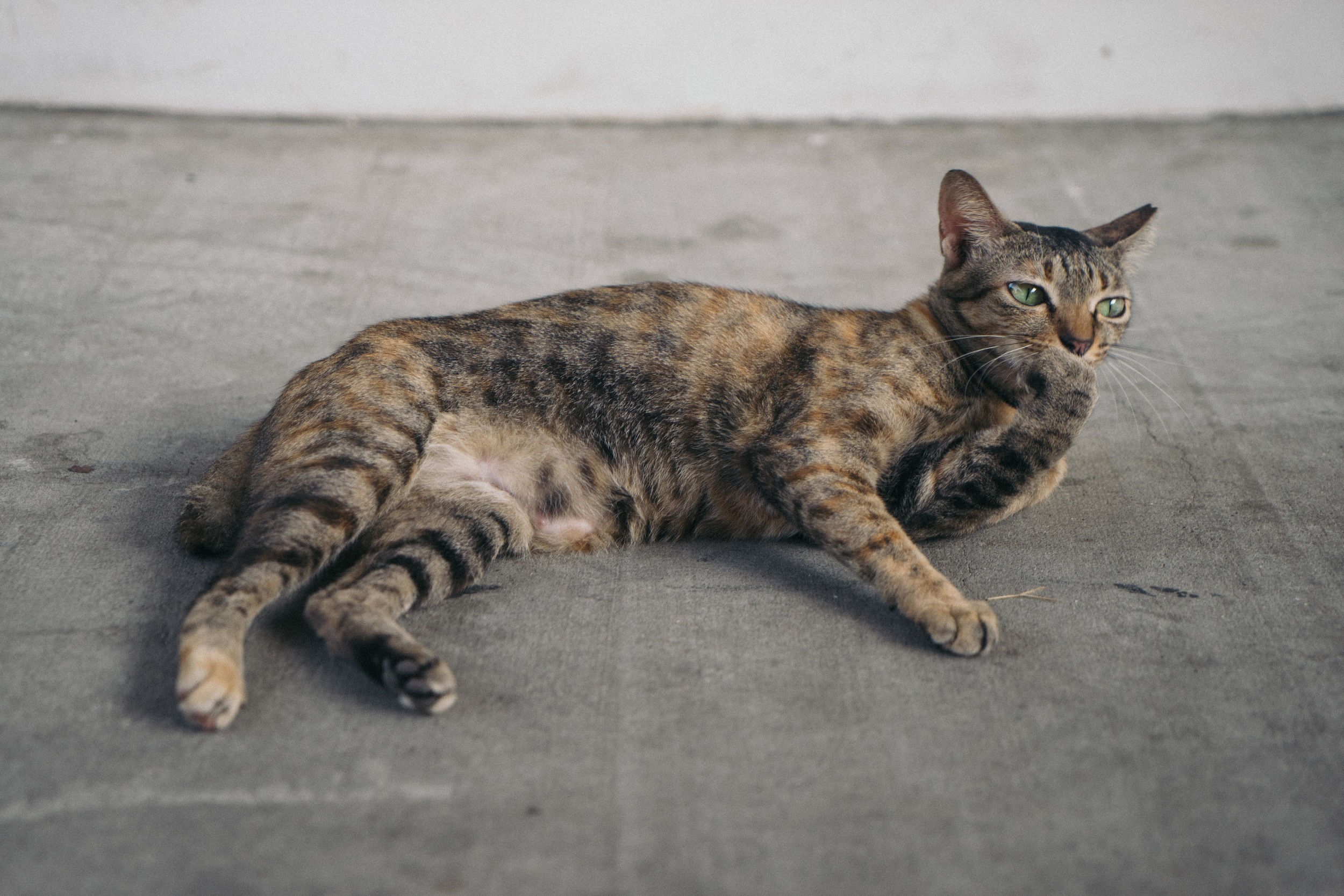 "Paint me like one of your French girls."