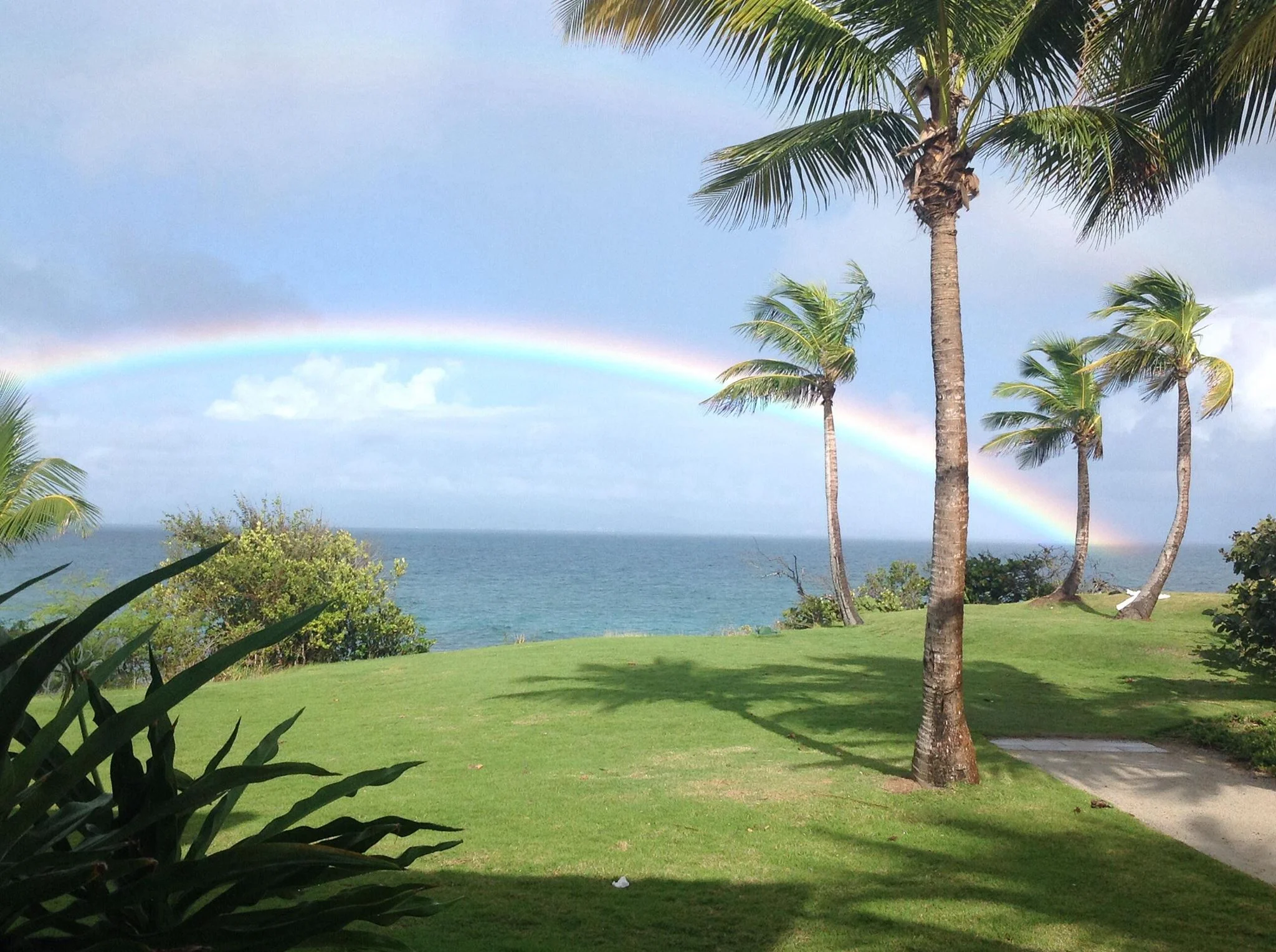 Intuitive Insight #5 - Cognitive Dissonance