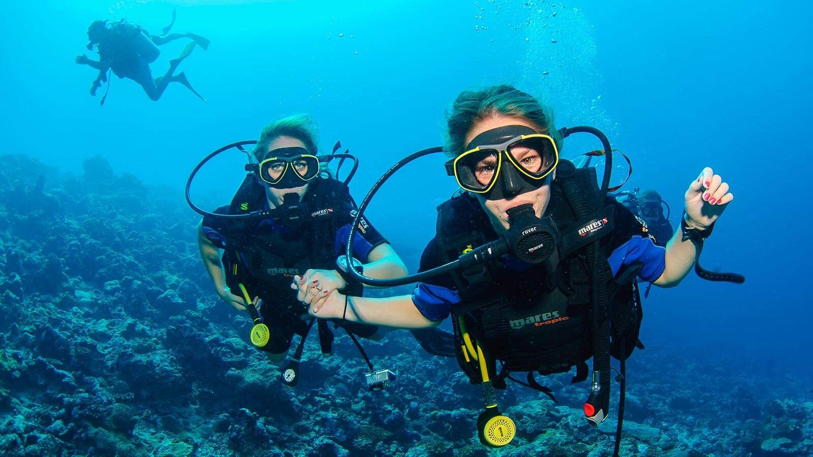 SURROUND YOUR PEOPLE WITH BREATHTAKING REEFS IN ARUBA