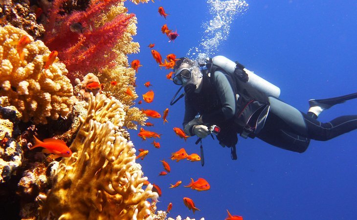 australia-top-outdoor-adventures-dive-snorkel-great-barrier-reef.jpg