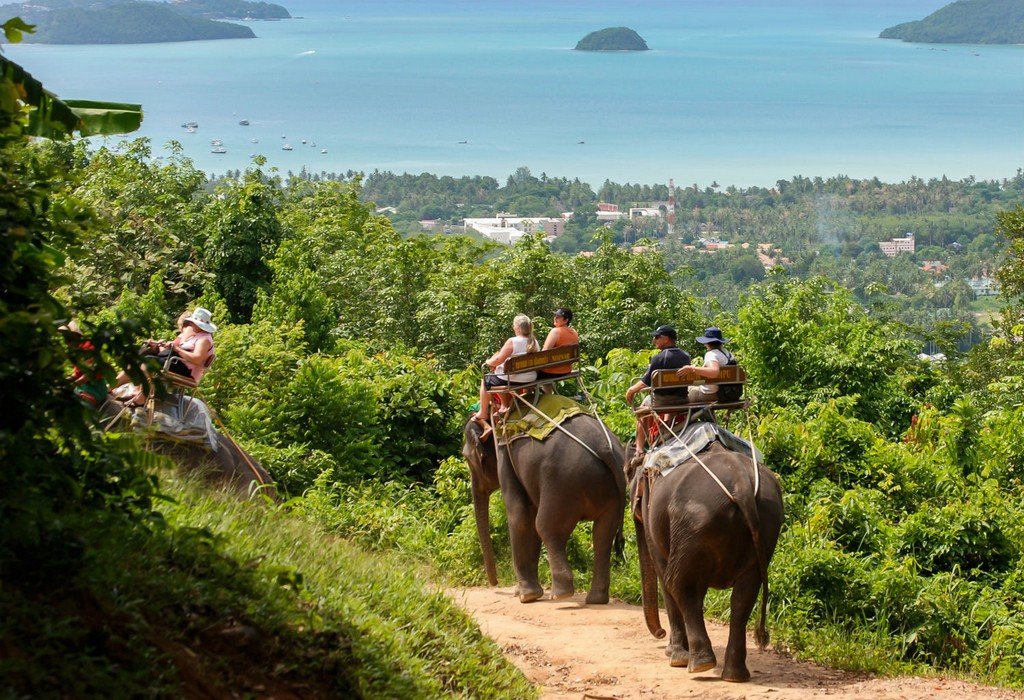 10.-Ride-the-elephant-phuket-1.jpg