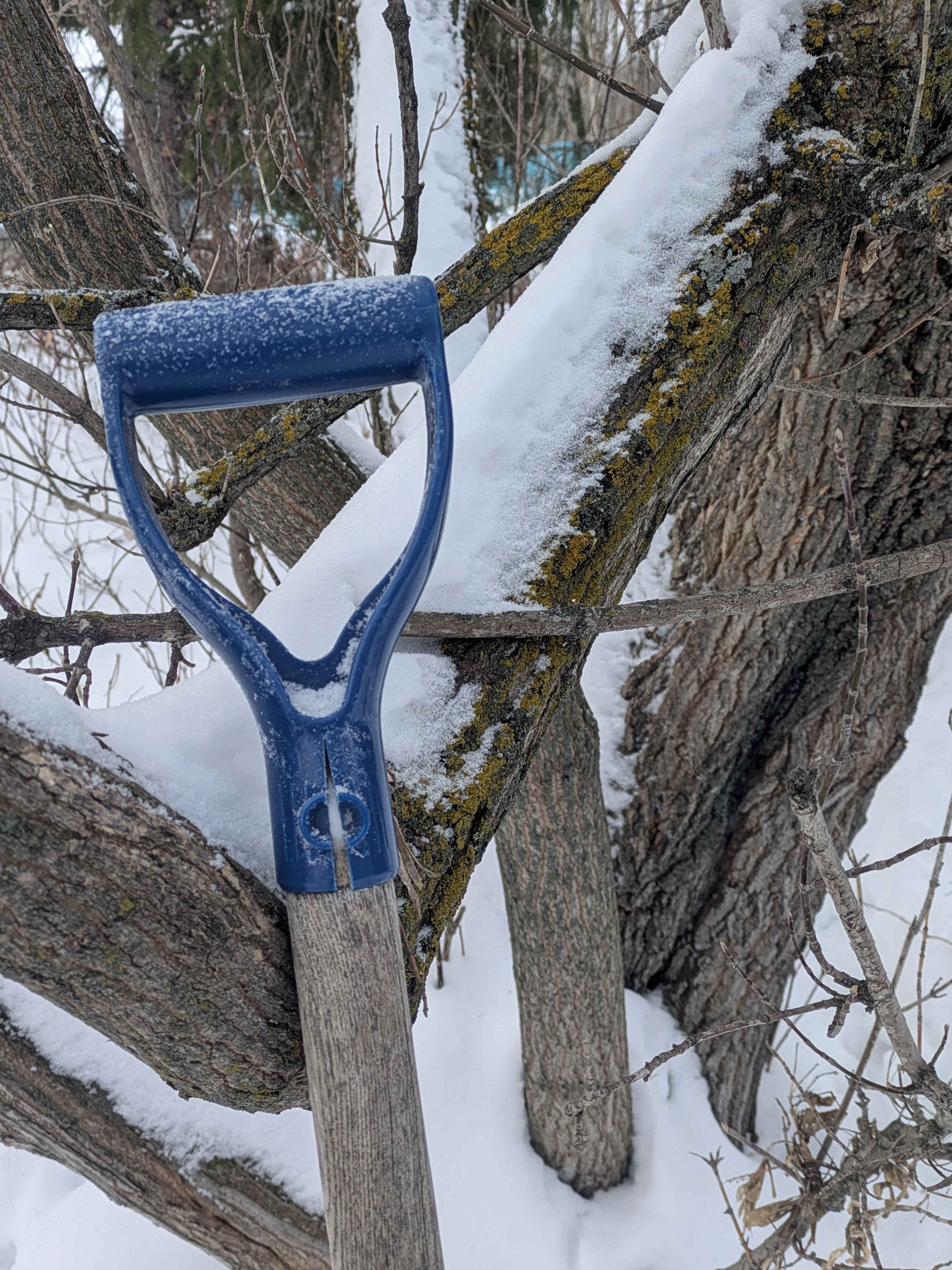 Stories for Adults: Winter Chores