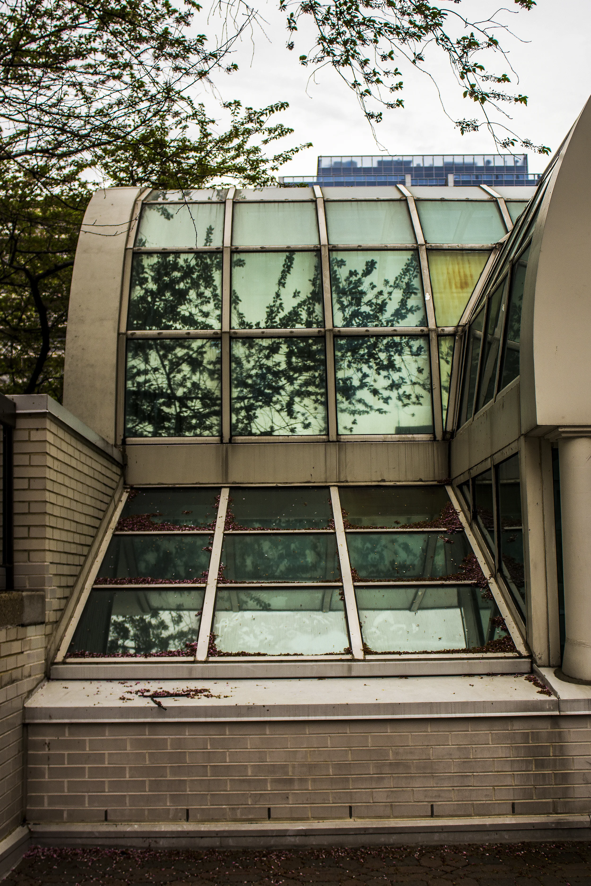 building2.jpg