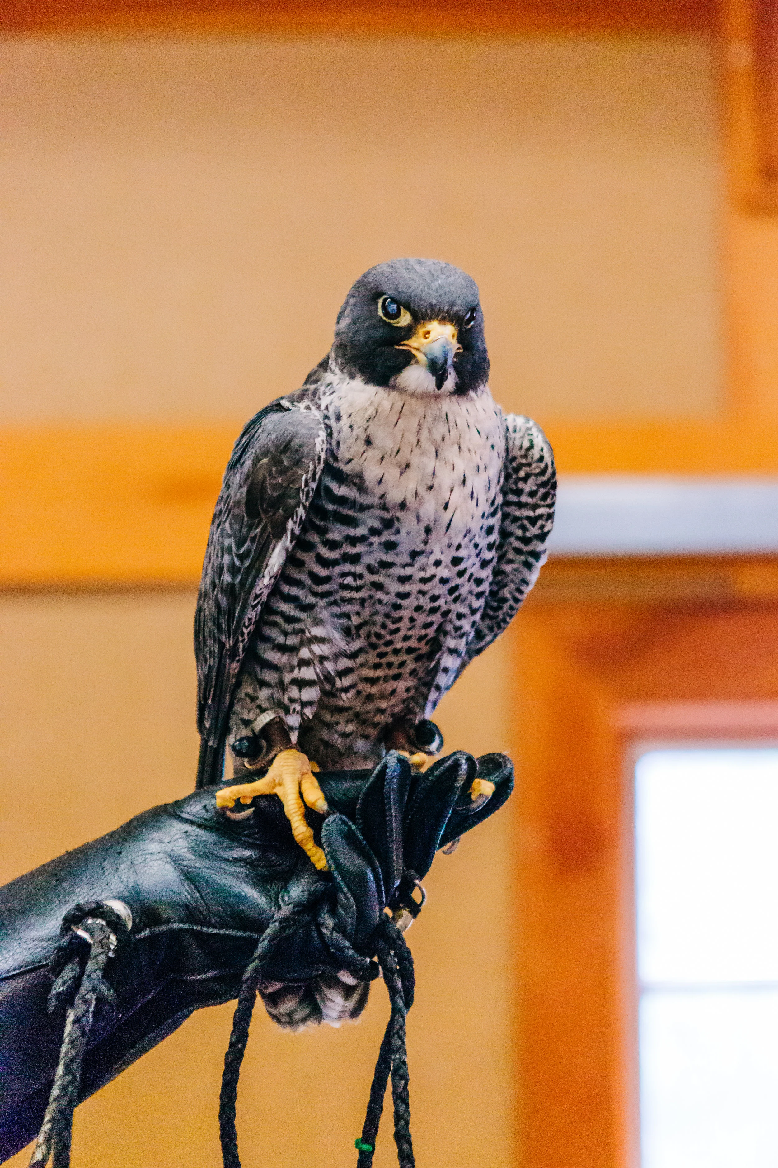 0487_5E3A2454.jpg