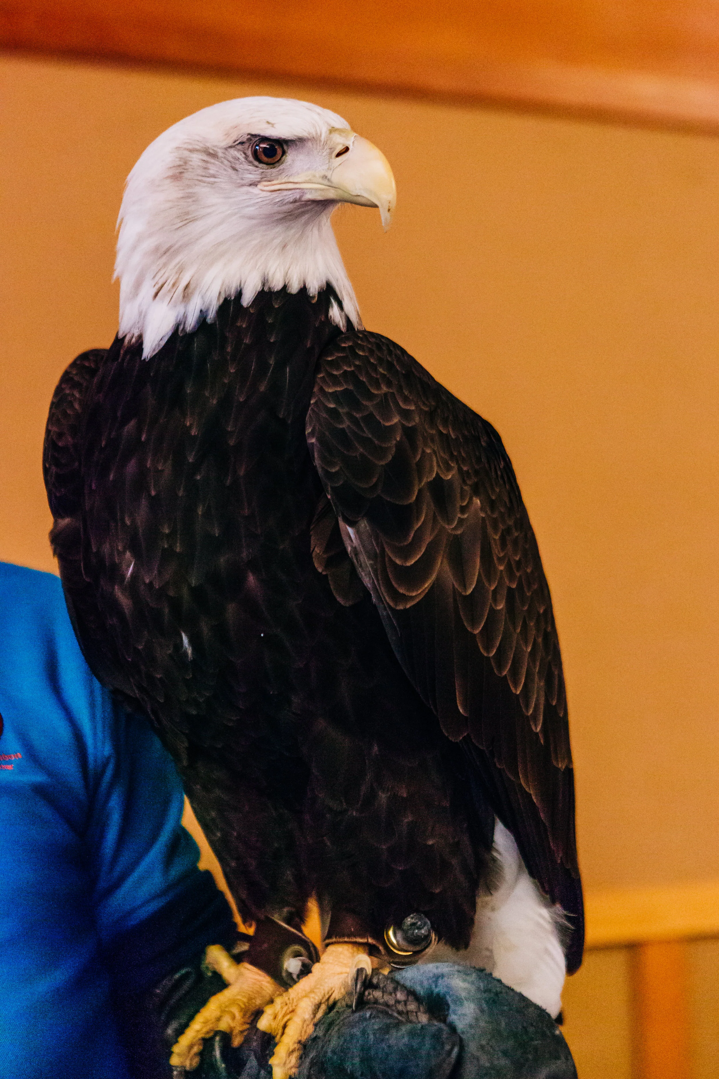 0493_5E3A2667.jpg