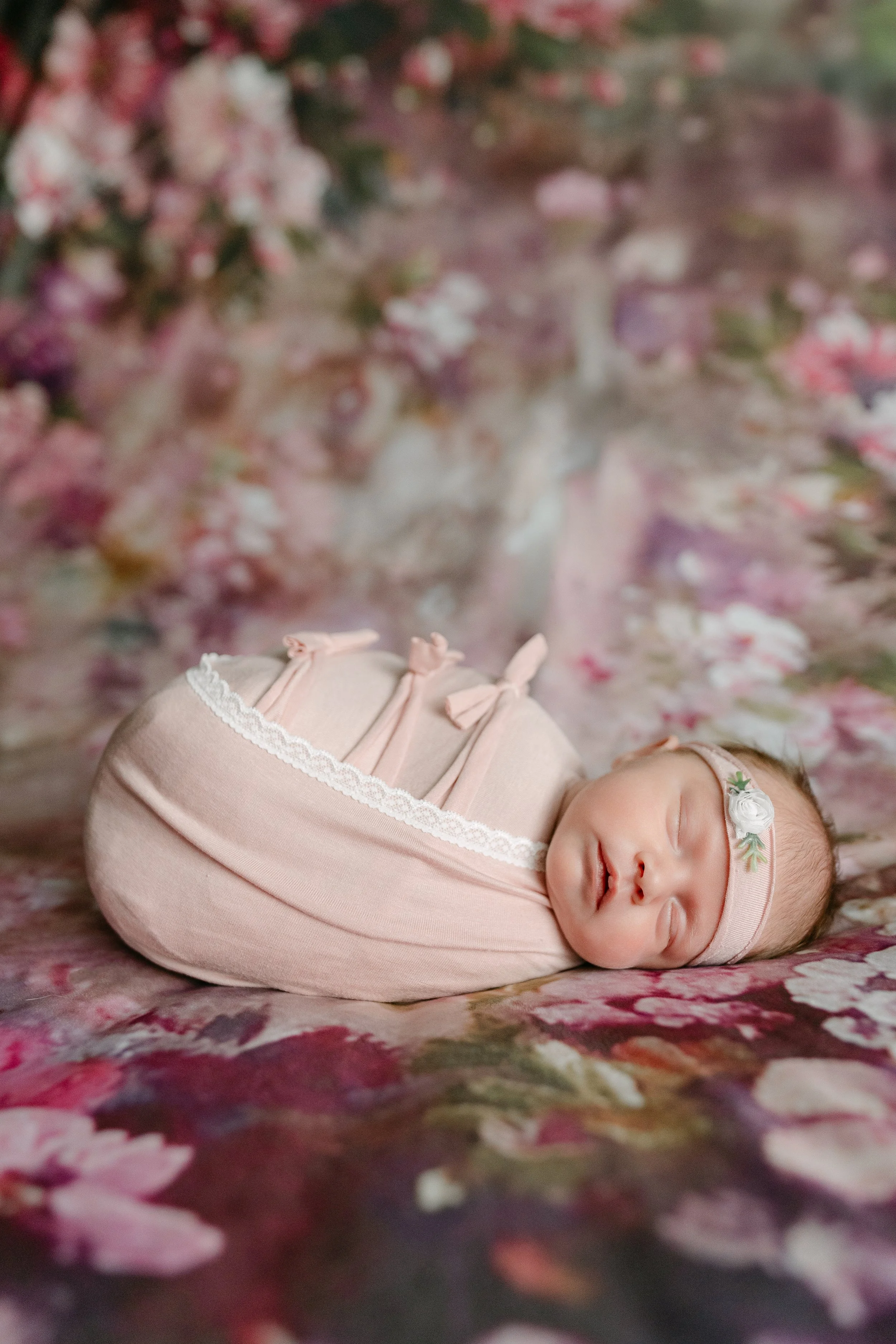 Quinn-15.jpg