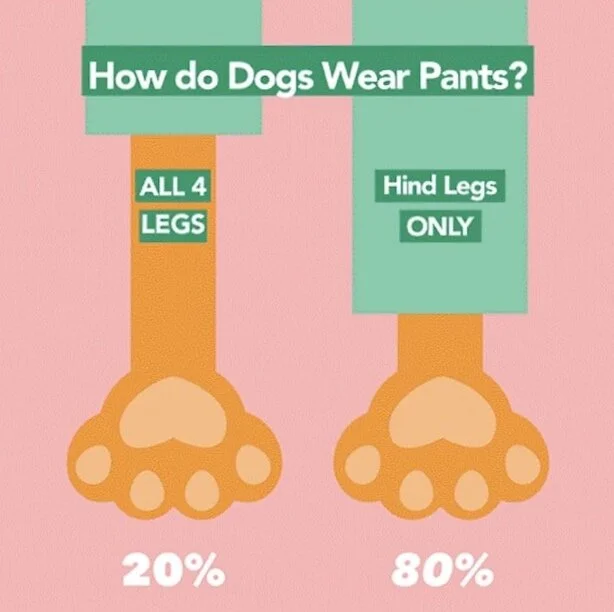 Screen Shot 2021-08-31 at 4.07.43 PM.png