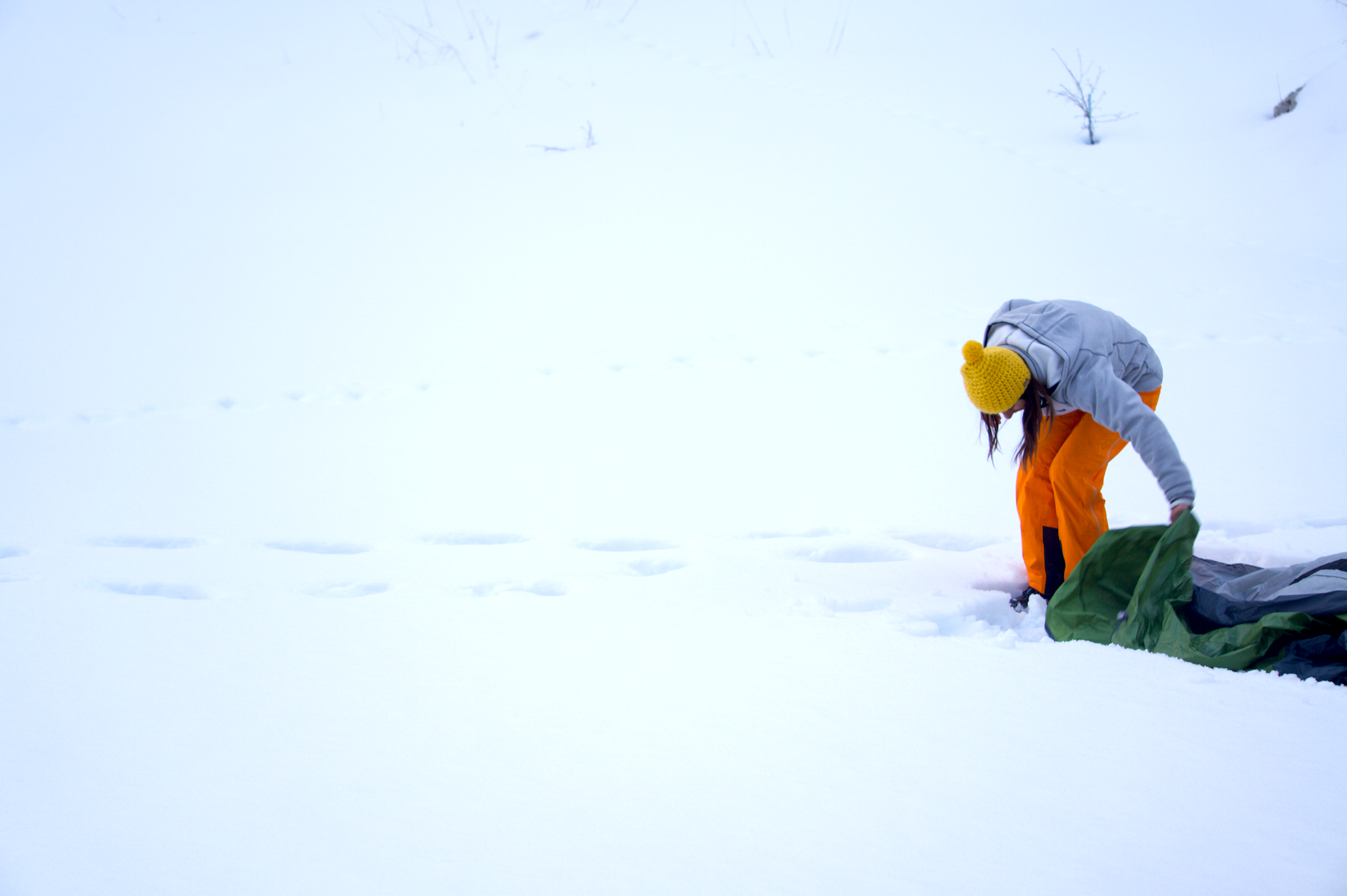 Screen Shot 2016-05-09 at 1.09.29 PM.png