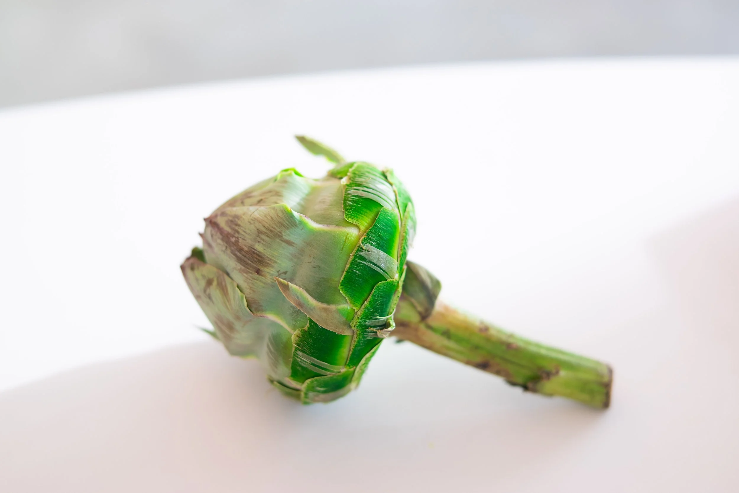 Artichoke.jpg