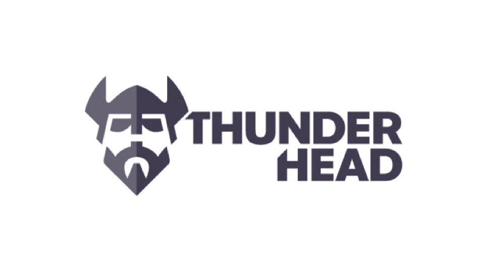Thunderhead is a leader in customer engagement software solutions. VerveIQ kickstarted their European partner ecosystem.