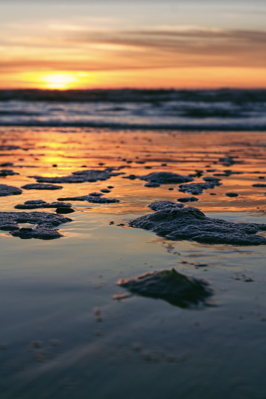 Screen Shot 2022-11-30 at 1.11.49 PM.png