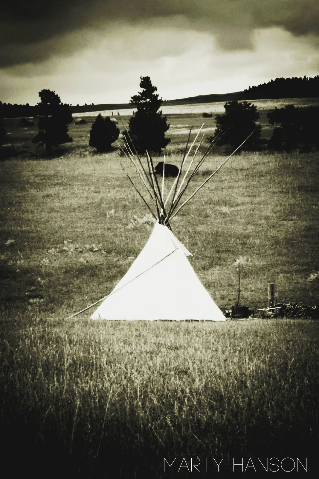 9754453385_d75c407d10_o copy.jpg