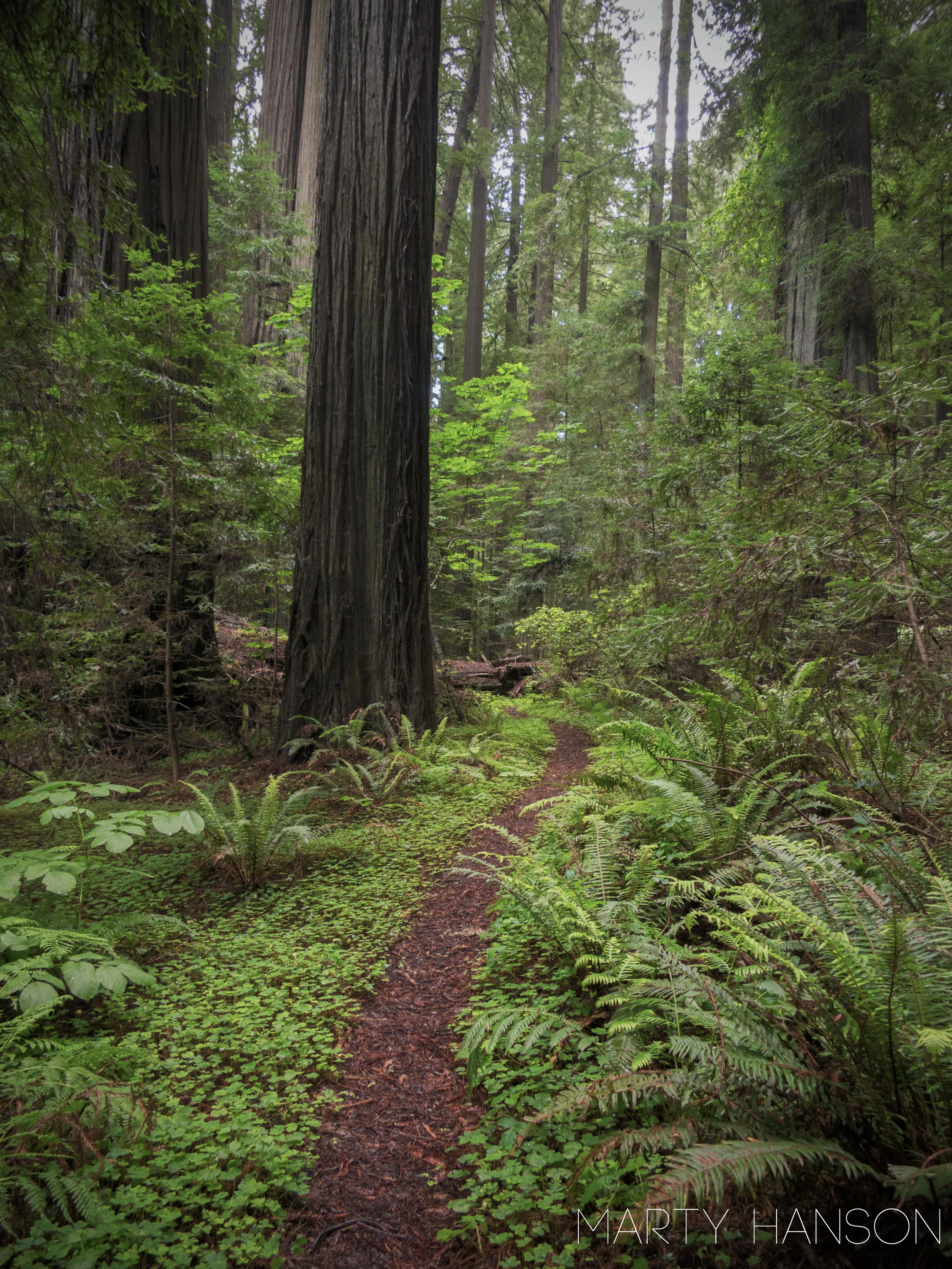 14292790634_6e92c55b9a_o copy.jpg