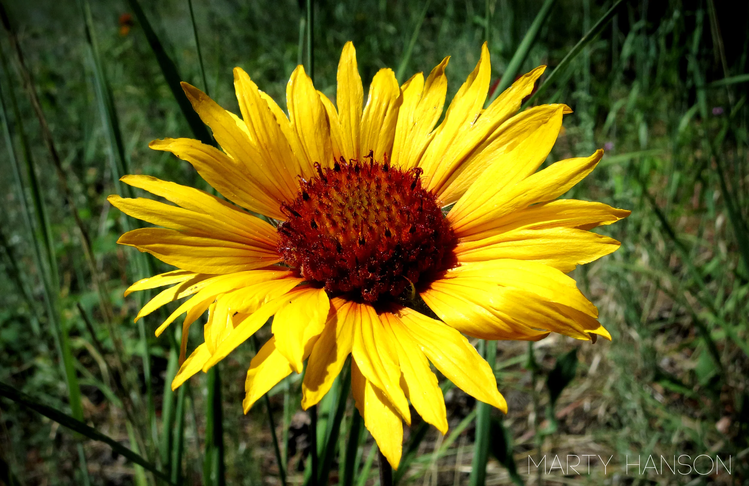 IMG_0039 copy.jpg