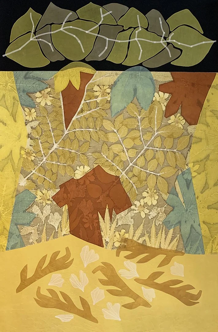 Kentucky Coffee Tree